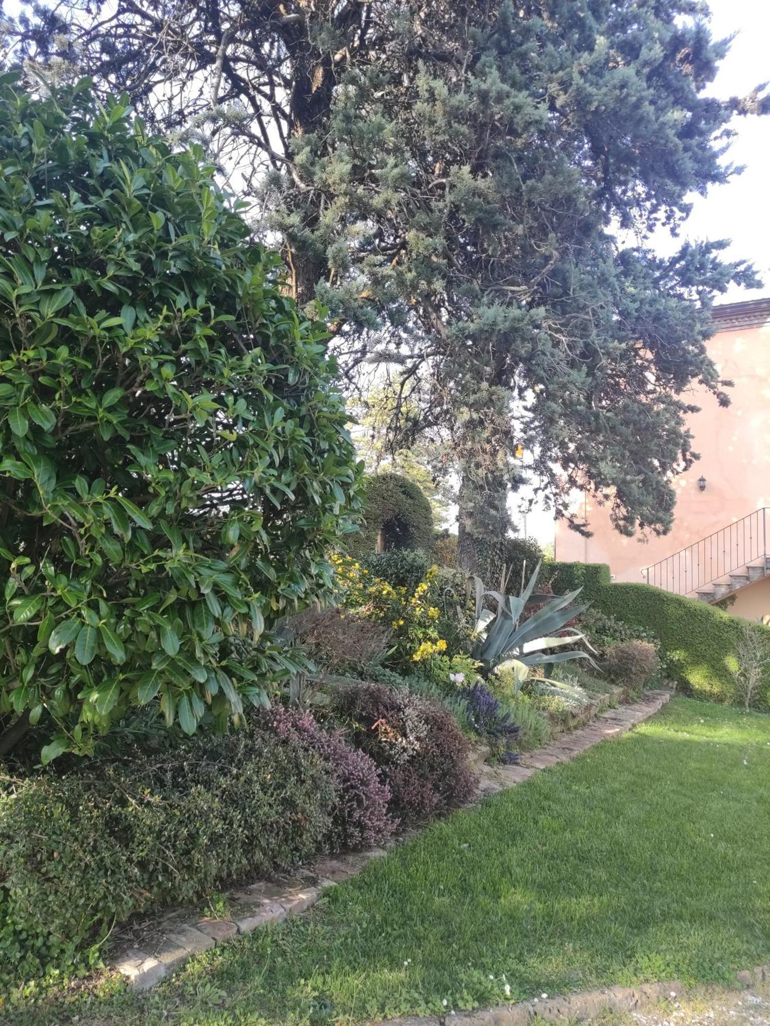 La Pergola Bed & Breakfast Becedasco Exterior foto